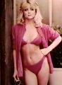 Lisa Hartman Black.